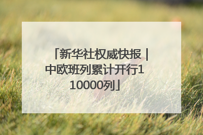 新华社权威快报｜中欧班列累计开行110000列