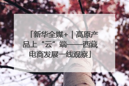 新华全媒+｜高原产品上“云”端——西藏电商发展一线观察