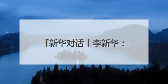 新华对话丨李新华：以科技创新与文化传承引领中医药品牌发展