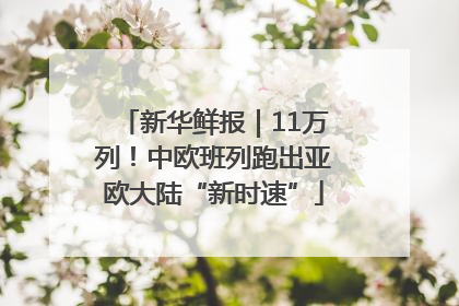 新华鲜报｜11万列！中欧班列跑出亚欧大陆“新时速”