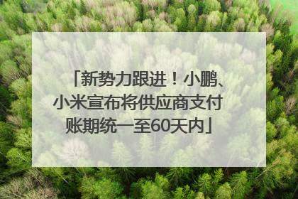 新势力跟进！小鹏、小米宣布将供应商支付账期统一至60天内