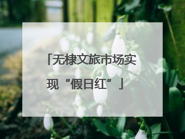 无棣文旅市场实现“假日红”