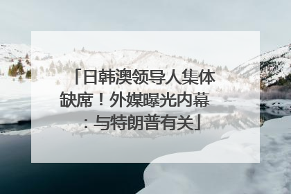 日韩澳领导人集体缺席！外媒曝光内幕：与特朗普有关