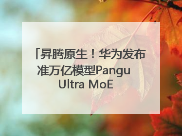 昇腾原生！华为发布准万亿模型Pangu Ultra MoE模型架构和训练细节