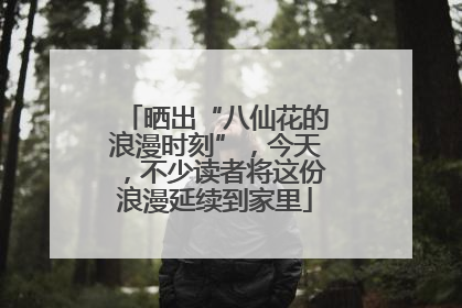 晒出“八仙花的浪漫时刻”，今天，不少读者将这份浪漫延续到家里