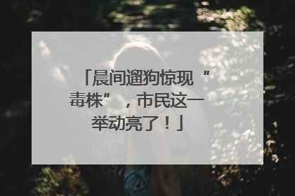 晨间遛狗惊现“毒株”，市民这一举动亮了！