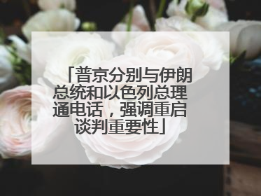 普京分别与伊朗总统和以色列总理通电话，强调重启谈判重要性