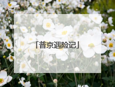 普京遇险记