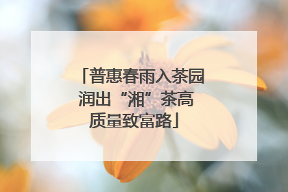 普惠春雨入茶园 润出“湘”茶高质量致富路