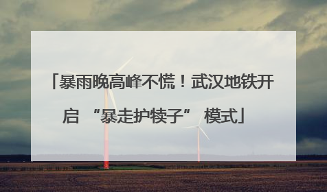 暴雨晚高峰不慌！武汉地铁开启 “暴走护犊子” 模式