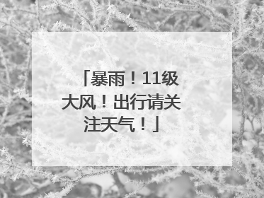 暴雨！11级大风！出行请关注天气！