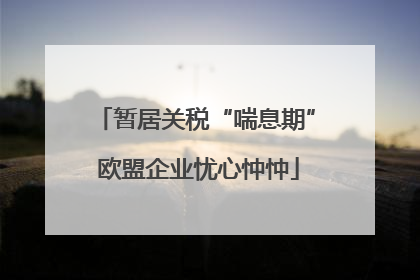 暂居关税“喘息期” 欧盟企业忧心忡忡