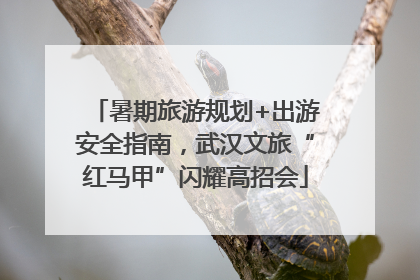 暑期旅游规划+出游安全指南，武汉文旅“红马甲”闪耀高招会