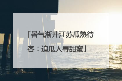 暑气渐升江苏瓜熟待客：追瓜人寻甜蜜