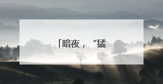 暗夜，“猛龙”出击！