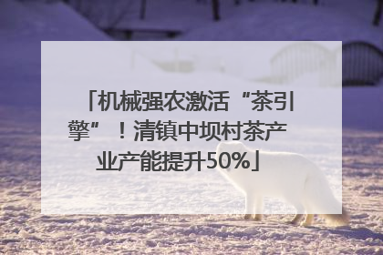 机械强农激活“茶引擎”！清镇中坝村茶产业产能提升50%