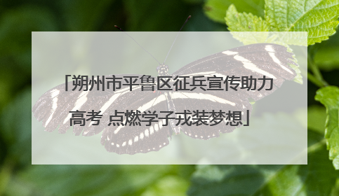 朔州市平鲁区征兵宣传助力高考 点燃学子戎装梦想