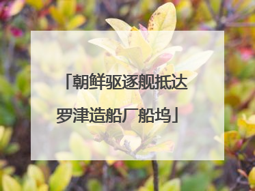 朝鲜驱逐舰抵达罗津造船厂船坞