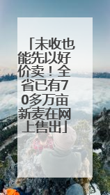 未收也能先以好价卖！全省已有70多万亩新麦在网上售出