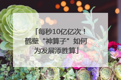 每秒10亿亿次！鹤壁“神算子”如何为发展添胜算