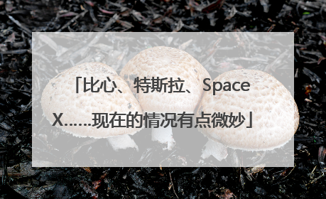 比心、特斯拉、SpaceX……现在的情况有点微妙