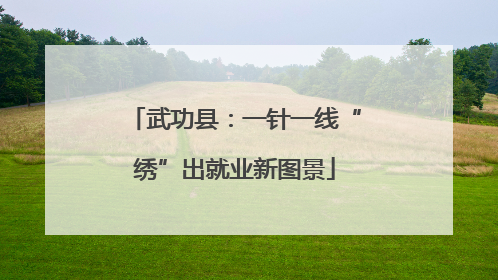 武功县：一针一线“绣”出就业新图景