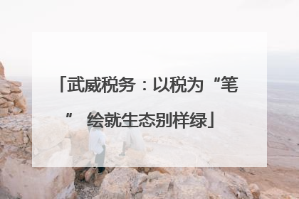 武威税务：以税为“笔” 绘就生态别样绿