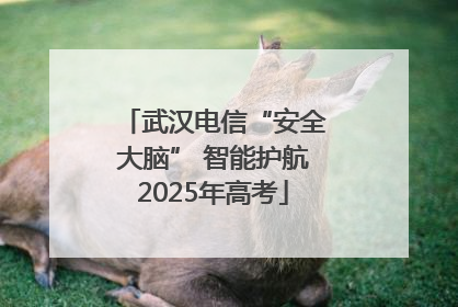 武汉电信“安全大脑” 智能护航2025年高考
