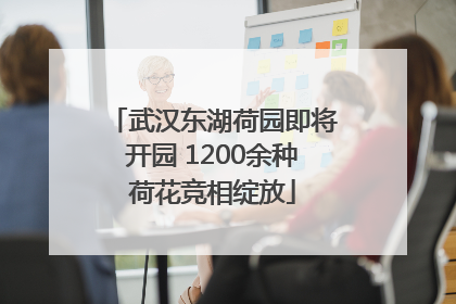 武汉东湖荷园即将开园 1200余种荷花竞相绽放