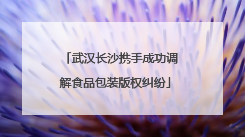 武汉长沙携手成功调解食品包装版权纠纷
