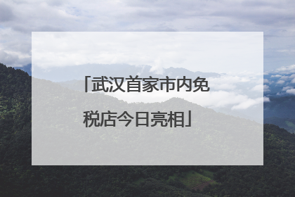武汉首家市内免税店今日亮相