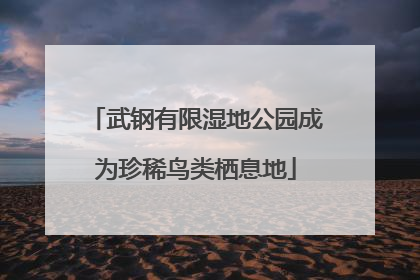 武钢有限湿地公园成为珍稀鸟类栖息地