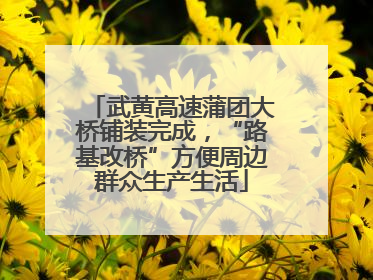 武黄高速蒲团大桥铺装完成，“路基改桥”方便周边群众生产生活
