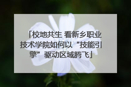校地共生 看新乡职业技术学院如何以“技能引擎”驱动区域腾飞