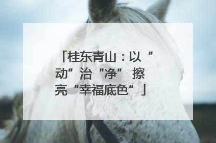 桂东青山：以“动”治“净” 擦亮“幸福底色”