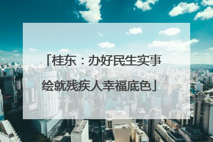 桂东：办好民生实事 绘就残疾人幸福底色