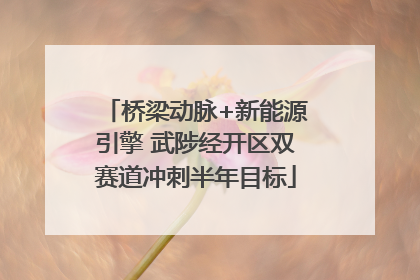 桥梁动脉+新能源引擎 武陟经开区双赛道冲刺半年目标
