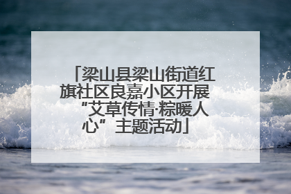 梁山县梁山街道红旗社区良嘉小区开展“艾草传情·粽暖人心”主题活动