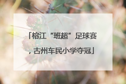 榕江“班超”足球赛，古州车民小学夺冠