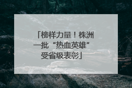 榜样力量！株洲一批“热血英雄”受省级表彰
