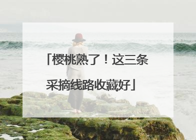 樱桃熟了！这三条采摘线路收藏好