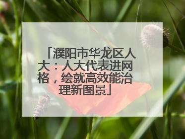 濮阳市华龙区人大：人大代表进网格，绘就高效能治理新图景