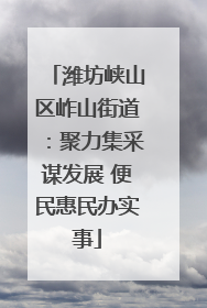 潍坊峡山区岞山街道：聚力集采谋发展 便民惠民办实事