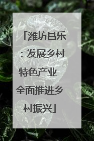 潍坊昌乐：发展乡村特色产业 全面推进乡村振兴