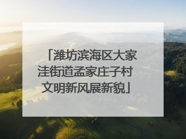 潍坊滨海区大家洼街道孟家庄子村文明新风展新貌