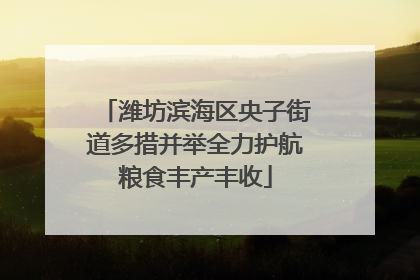 潍坊滨海区央子街道多措并举全力护航粮食丰产丰收