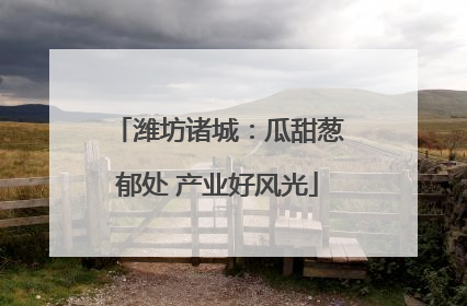 潍坊诸城：瓜甜葱郁处 产业好风光