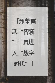 潍柴雷沃“智领”三夏进入“数字时代”