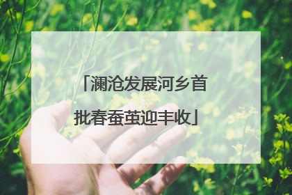 澜沧发展河乡首批春蚕茧迎丰收