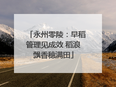 永州零陵：早稻管理见成效 稻浪飘香穗满田